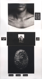 Lorna Simpson, Counting, Photogravure with screenprint on wove paper, 1991